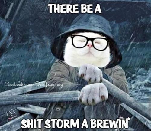 b8819fa05b1010c0cebadb4b886f0fcb