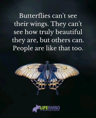 18:44:08 GMT-0600 (CST)