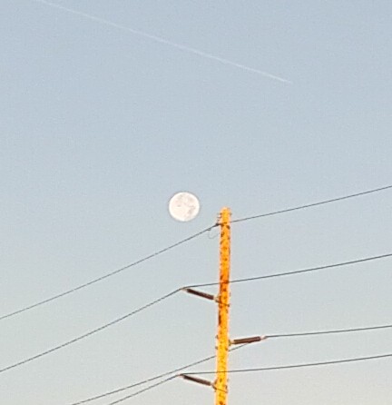 IMG_20251106_065140078