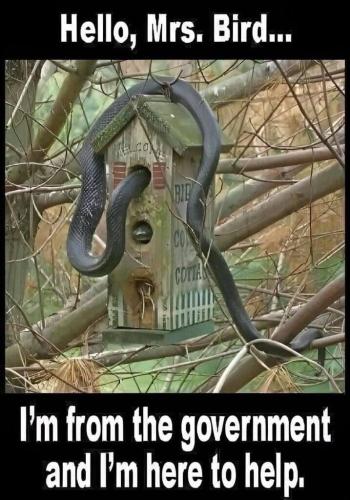 7833a453-1f84-4405-8c2f-bf2646c55be2