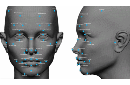 Biometrics Facial Recognition