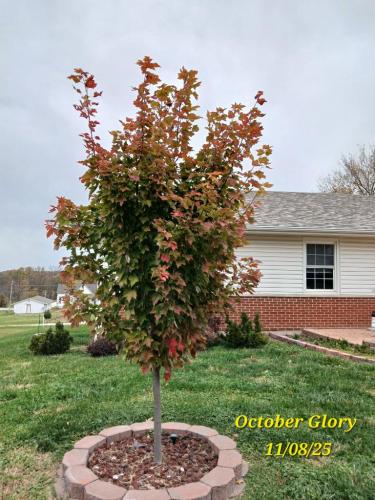 4d7bf628-bacd-4859-a337-fdf33e2d38d7