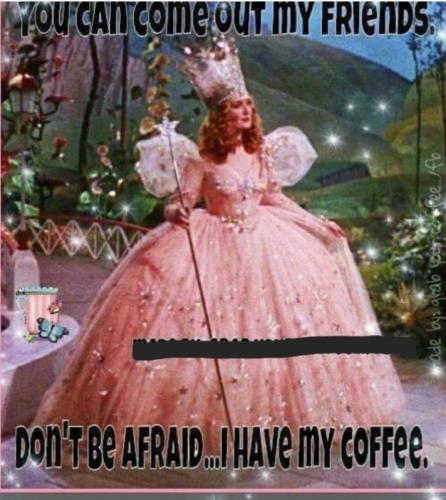 Screenshot_20251107_095037_Gallery