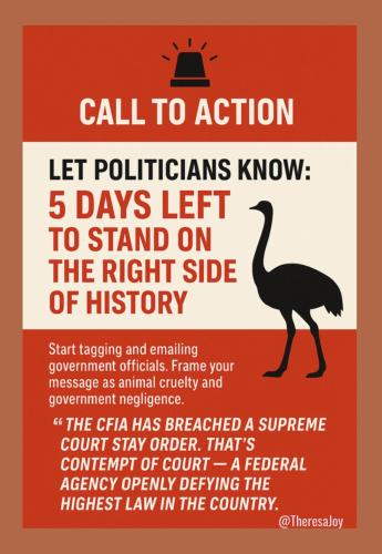 call to action