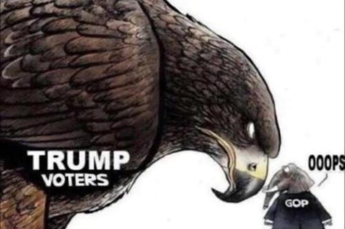 24ef500b-85ab-4656-afc2-60391c9c12ee