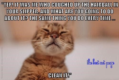 6c04f95848afd8e47e40e922eea9eef7