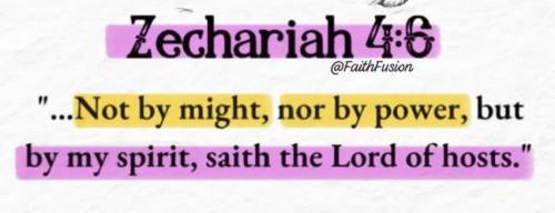 IMG_20251124_194034_436