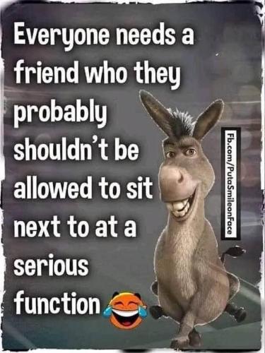 40e27ba82aa503de1a4d1c21a14cc503