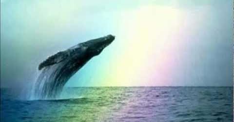 ,         418235313_73391130547