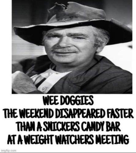 583681405_710667072077247_6682248428278966241_n