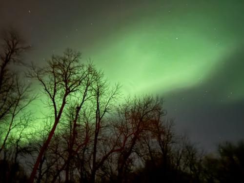 3A968CA8-0893-4C3F-A29C-93DE35FEB9E4