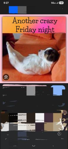 Screenshot_20251107_212737_Google