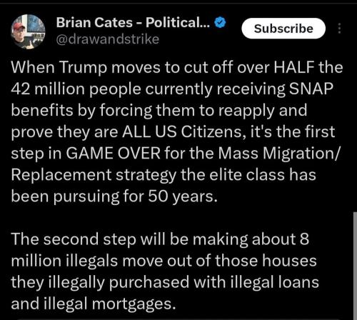 GAME OVER for the Globalist Mass Migration - Replacement Strategy