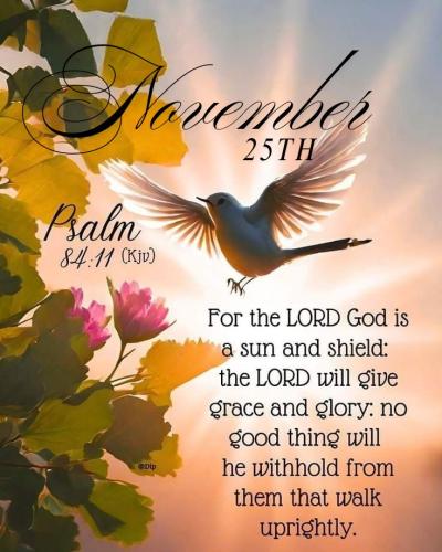 588413058_863668589500822_137416811047251024_n