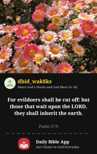 2025-11-211763754695947