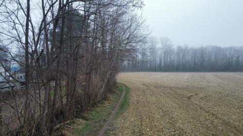 dji_fly_20251130_151554_697_1764512292644_photo_optimized