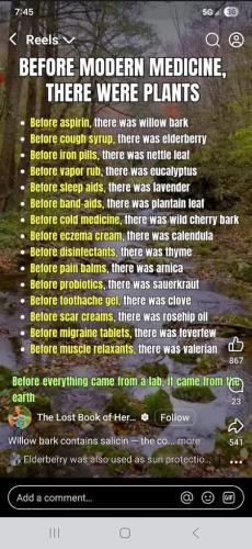 ,     ,           328625073_1312793