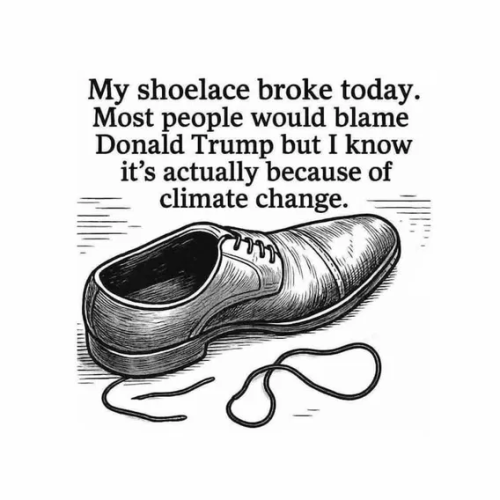 image_2025-11-09_091251004