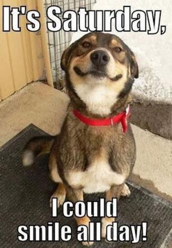 beautiful-saturday-memes