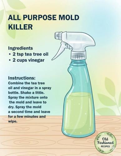 IMG_20251111_075019_512