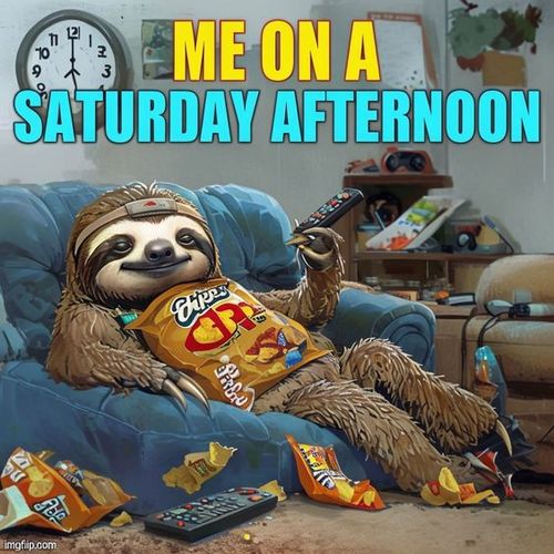 silly-saturday-memes