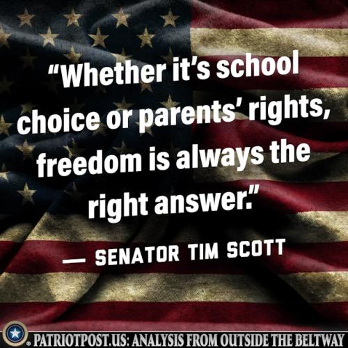 01K8YM8MQBXDK24DQV1MFPZ7BF