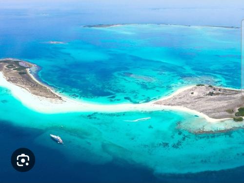 Screenshot_20251130_100554_Google