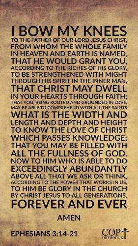 4e501ea3a03dabeffc3125ec3e9e6183