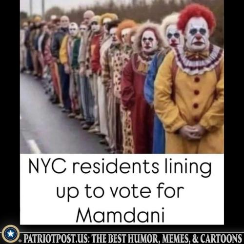 01K9977E00225QD03K54V1N1WS