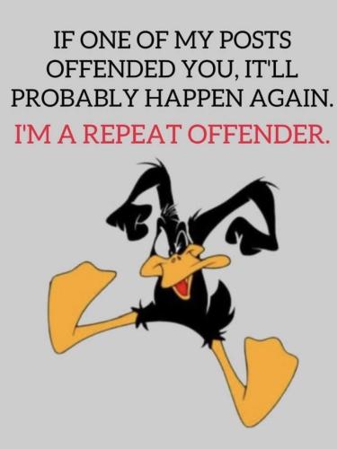 12b1d319-486f-47c5-8b21-11910cdea859