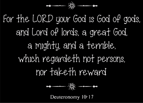 Screenshot_20251113-175232-335