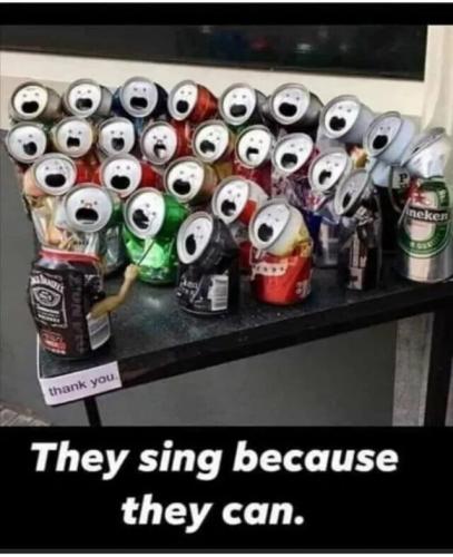 sing-because-they-can