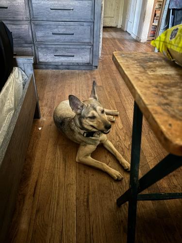 F147308C-5E3F-42B3-9F77-C35BBDAE3394