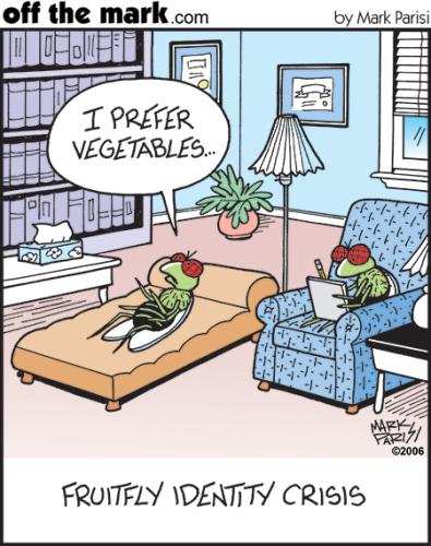 581851869_1432631184887626_7204804035438052787_n