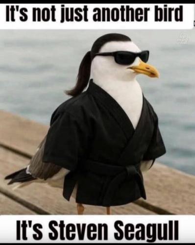 main-qimg-99acdfe30068fee388317afae3cf966d