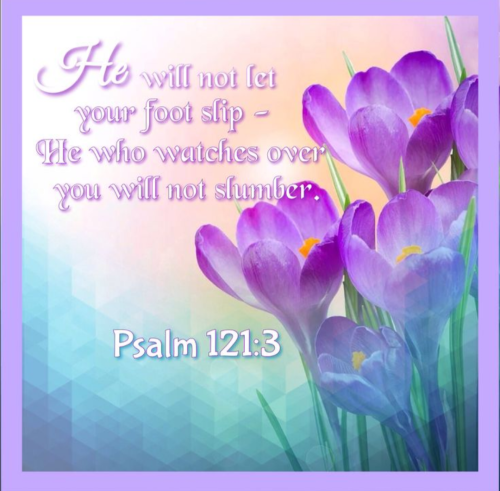 Screenshot_20251123-174651-618