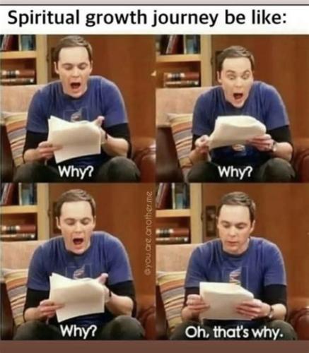 IMG_20251119_142849_296