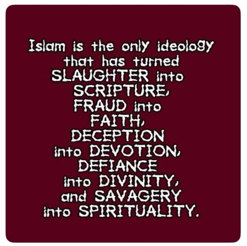 43B36C2F-1078-460E-B62B-5EDD9C16537E