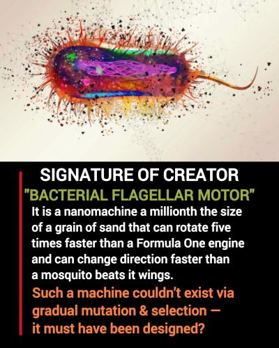 FB_IMG_1762237764663