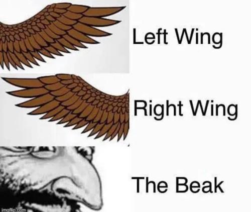 a9a0d457ac43725a29dfcccc523de5fb