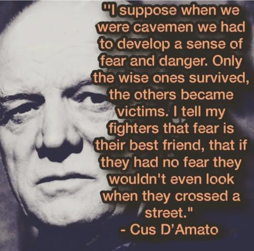 Screenshot_20251104_044641_Instagram