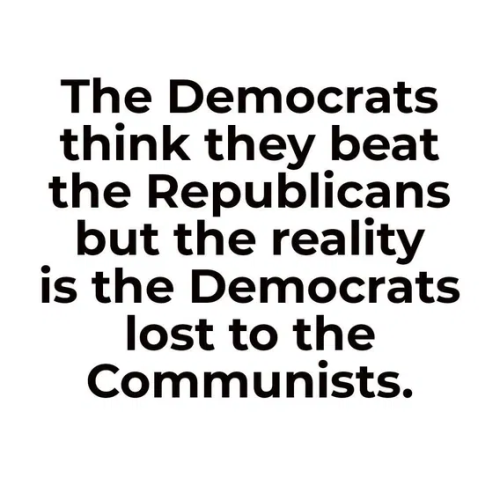 image_2025-11-06_062041441