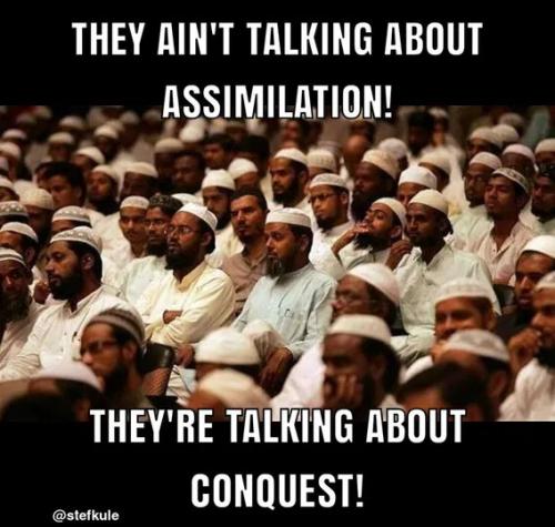 not-talking-assimilation