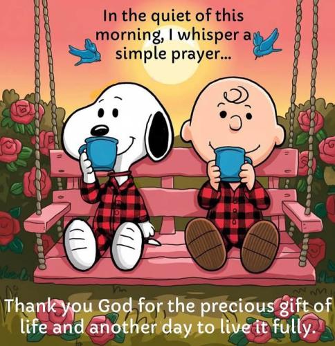 6b3b78bedf8b8e2ef5779deec795e3a8