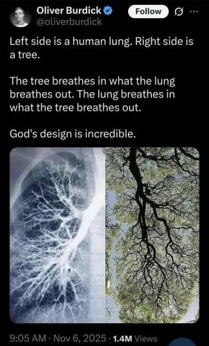 god's-design-incredible