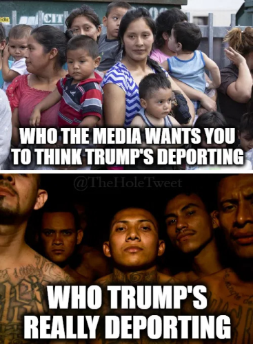 JOEBAMAS ILLEGAL GANGS