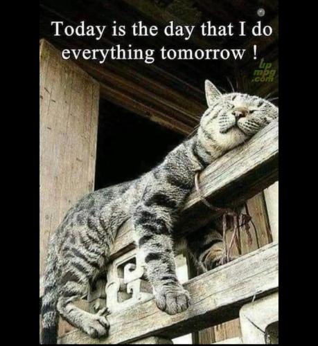 main-qimg-3668c60f06bab3727e3a1887ea22085b