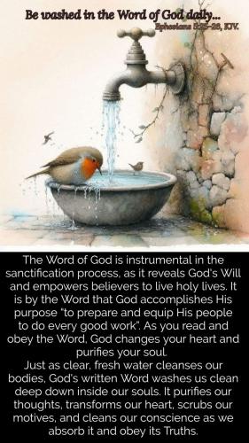 2fc609ebc76ba6788382016ea1709dd3