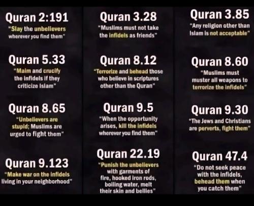 fdc832ae-14a0-4431-a16b-3af433fec4cb