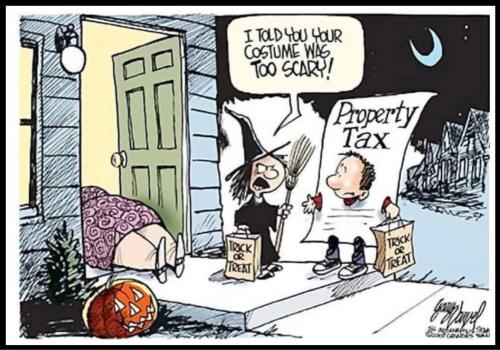 image_484521F4-DABF-4E17-8168-BFDF127E7CD3